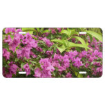 Tropical Purple Bougainvillea Floral License Plate