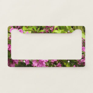 Tropical Purple Bougainvillea Floral License Plate Frame