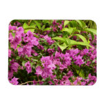 Tropical Purple Bougainvillea Floral Magnet