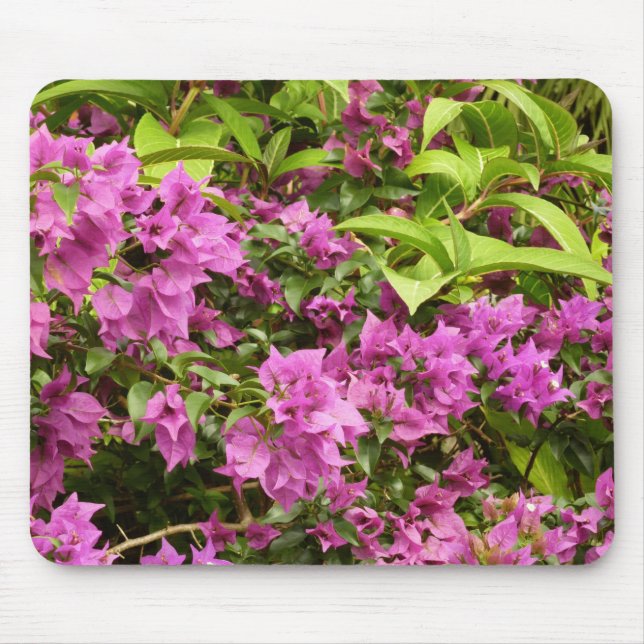 Tropical Purple Bougainvillea Floral Mouse Pad (Front)