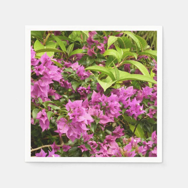 Tropical Purple Bougainvillea Floral Napkins (Front)