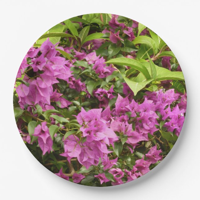Tropical Purple Bougainvillea Floral Paper Plates (Front)