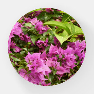 Tropical Purple Bougainvillea Floral Paperweight
