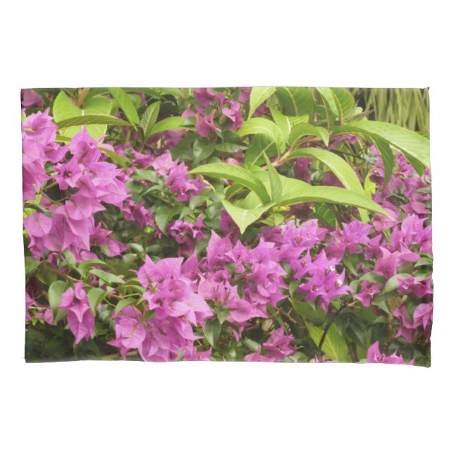 Tropical Purple Bougainvillea Floral Pillow Case (Front)