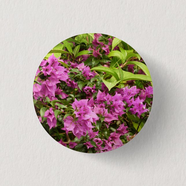 Tropical Purple Bougainvillea Floral Pinback Button (Front)