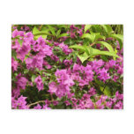 Tropical Purple Bougainvillea Floral Postcard