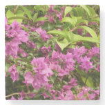 Tropical Purple Bougainvillea Floral Stone Coaster