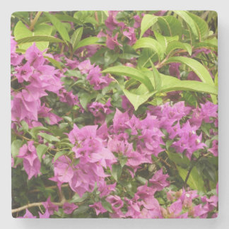 Tropical Purple Bougainvillea Floral Stone Coaster