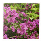 Tropical Purple Bougainvillea Floral Tile