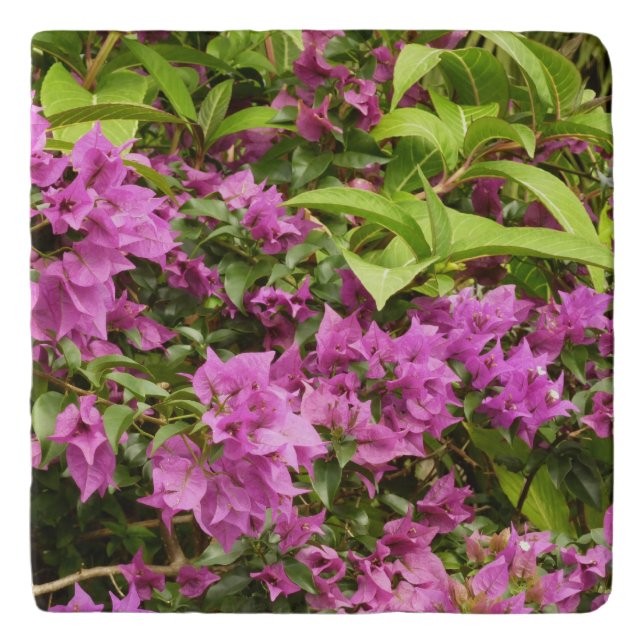 Tropical Purple Bougainvillea Floral Trivet (Front)