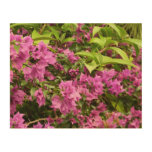 Tropical Purple Bougainvillea Floral Wood Wall Art