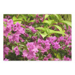 Tropical Purple Bougainvillea Floral Wrapping Paper Sheets