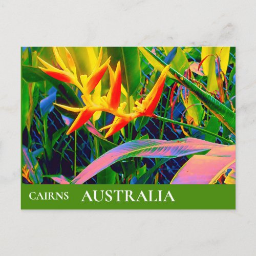 Tropical Queensland Australia vintage travel Postcard
