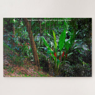 Tropical Rain Forest Grenada Caribbean. Jigsaw Puz Jigsaw Puzzle