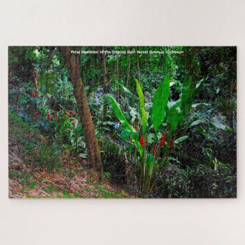 Tropical Rain Forest Grenada Caribbean Jigsaw Puz Jigsaw Puzzle