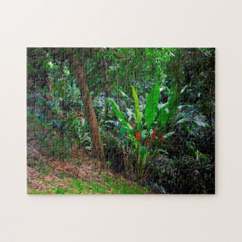 Tropical Rain Forest Grenada Caribbean Jigsaw Puzzle