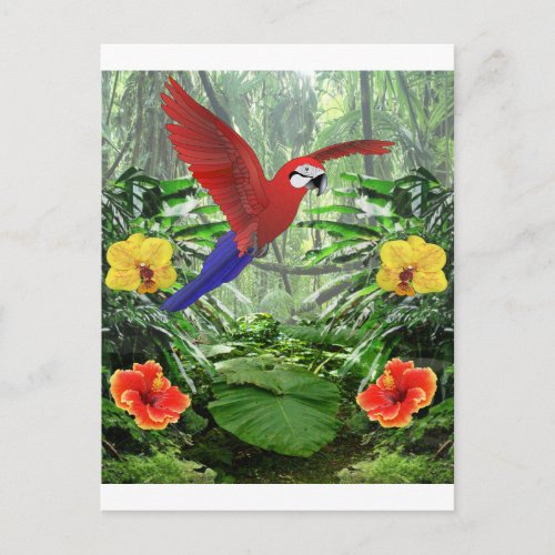 Tropical Rain Forest Postcard