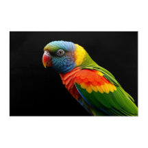 🦜 Tropical Rainbow Parrot - Vibrant Paradise Art