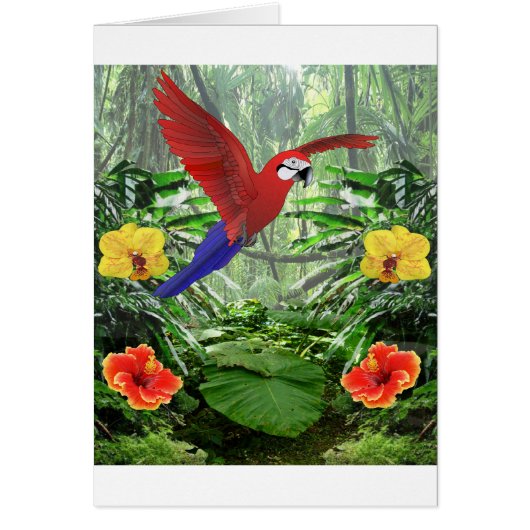 Tropical Rainforest Cards (Front)