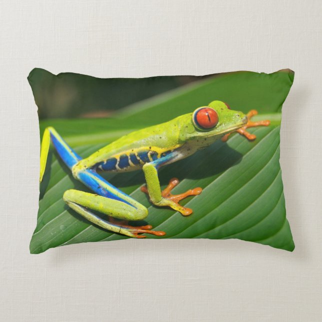 Tropical rainforest green red-eyed tree Frog Accent Pillow (Front)