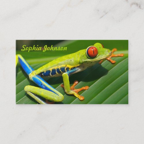 Tropical rainforest green red_eyed tree Frog Business Card
