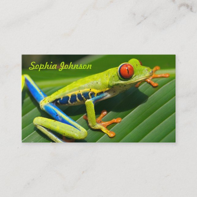 Tropical rainforest green red-eyed tree Frog Business Card (Front)