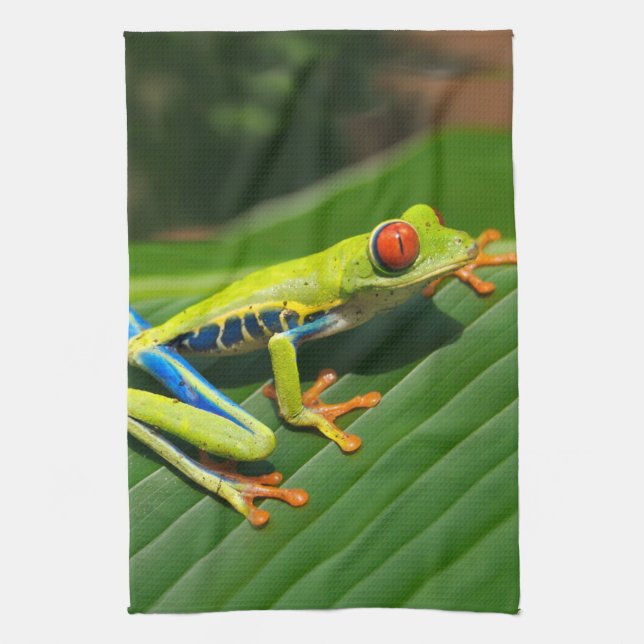 Tropical rainforest green red-eyed tree Frog Kitchen Towel (Vertical)