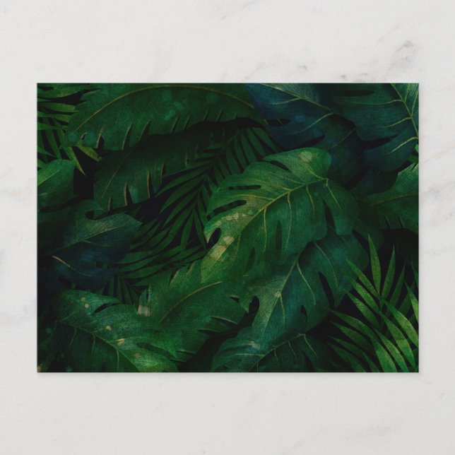 Tropical Rainforest Leafy Foliage Postcard (Front)