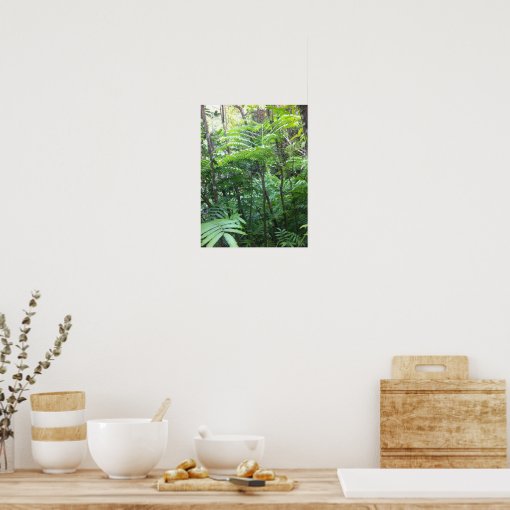 Tropical Rainforest Poster | Zazzle