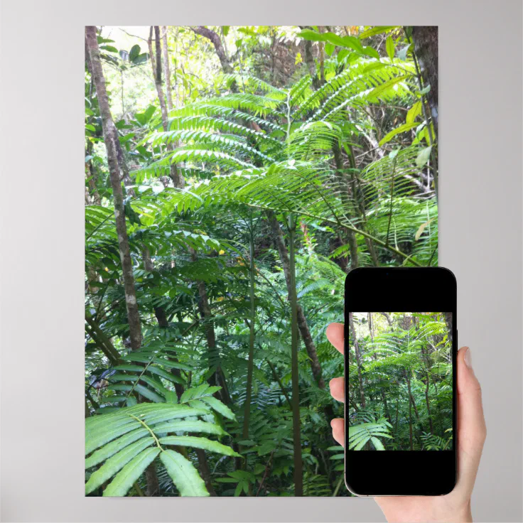 Tropical Rainforest Poster | Zazzle