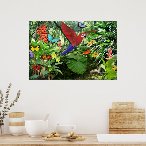 Tropical Rainforest Poster | Zazzle