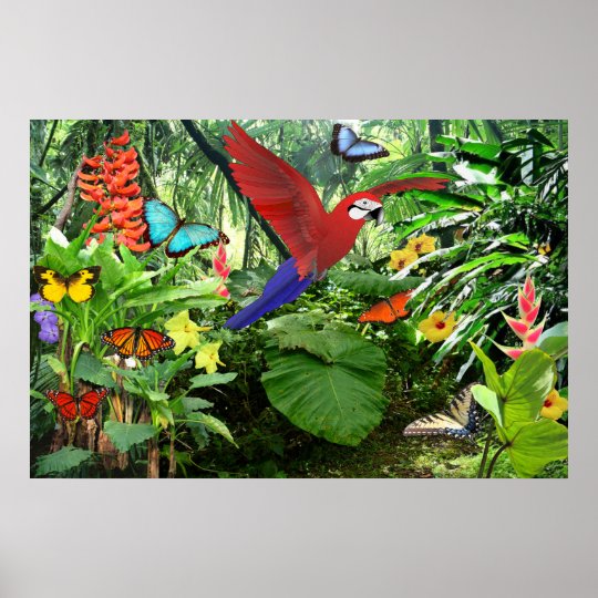 Tropical Rainforest Poster | Zazzle.com