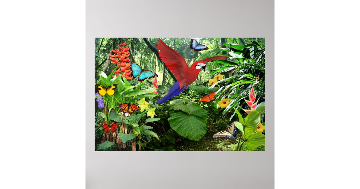 Tropical Rainforest Poster | Zazzle
