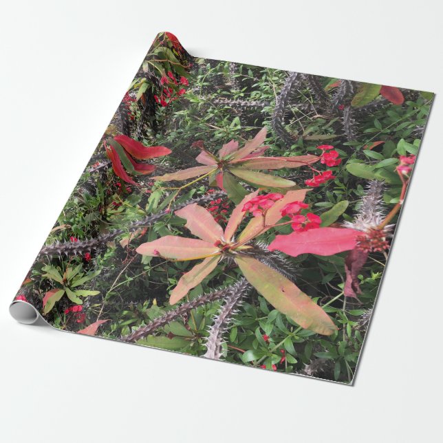 Tropical Red and Green Botanical Vines Wrapping Paper (Unrolled)