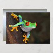 Tropical Red Eye Frog - Agalychnis Callidryas (Front/Back)