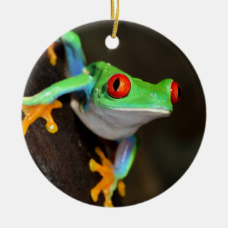 Tropical Red Eye Frog - Agalychnis Callidryas Ceramic Ornament