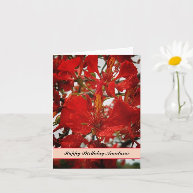 Tropical Red Flamboyant Flowers Birthday Card (Small Plant)