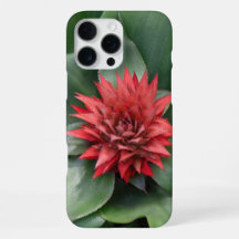 - Tropical red flower