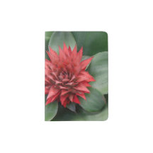 - Tropical red flower