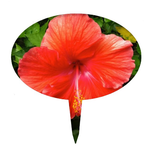 Tropical Red Hibiscus Bonita Springs Florida Cake Topper (Front)
