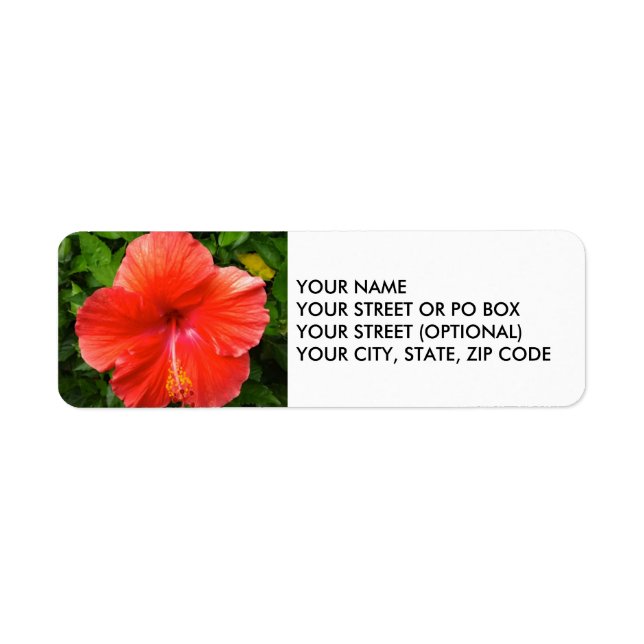 Tropical Red Hibiscus Bonita Springs Florida Label (Front)