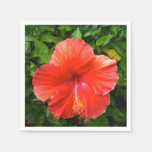 Tropical Red Hibiscus Bonita Springs Florida Paper Napkins