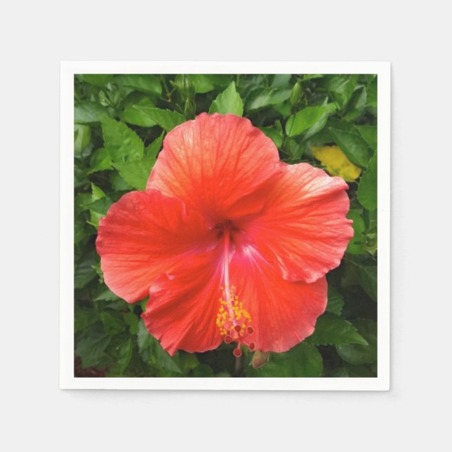 Tropical Red Hibiscus Bonita Springs Florida Paper Napkins (Front)