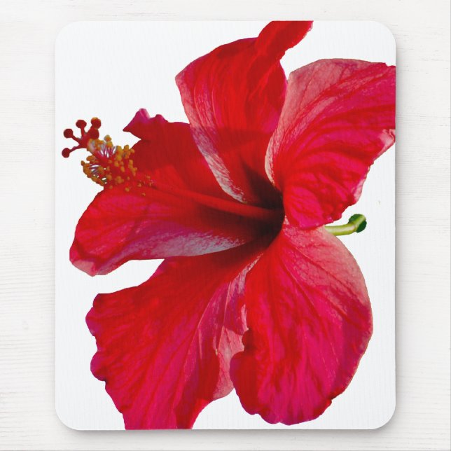 Tropical Red Hibiscus Flower Mouse Pad (Front)