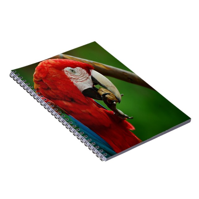 Tropical Red Parrot Notebook (Right Side)