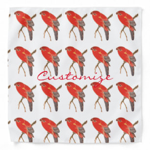 Tropical Red Parrot Thunder_Cove Bandana