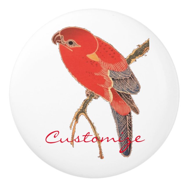 Tropical Red Parrot Thunder_Cove Ceramic Knob (Front)