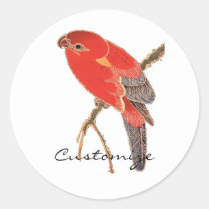 Tropical Red Parrot Thunder_Cove Classic Round Sticker
