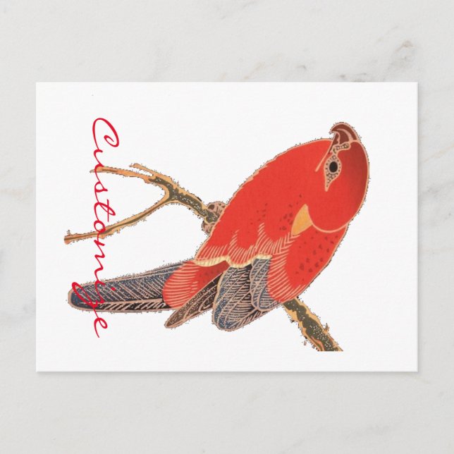 Tropical Red Parrot Thunder_Cove Postcard (Front)