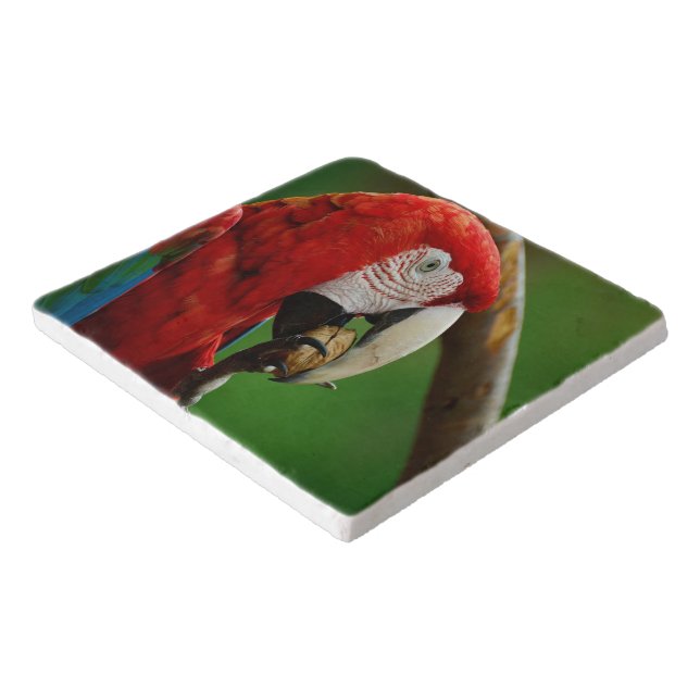 Tropical Red Parrot Trivet (Corner)